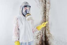 Why You Should Choose Our Mold Remediation Services in Karnes City, TX